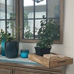 Meet your Posher, Miriam